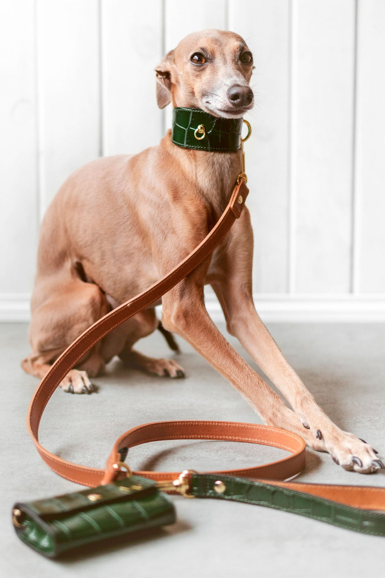 Collar Galgo Lia verde oscuro