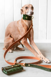 Collar Galgo Lia verde oscuro