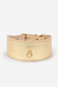 Windhundhalsband Galgo Metallic Gold - L / Golden