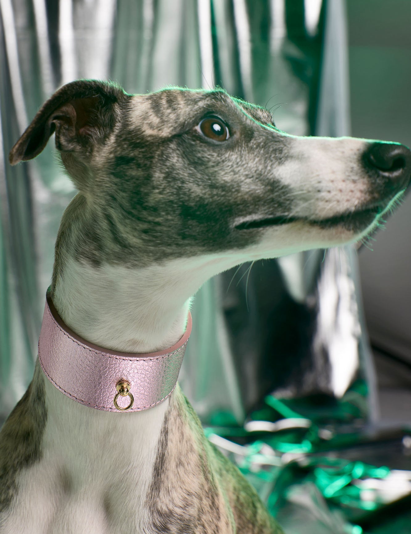 collar-galgo-metal-rosa-lifestyle-01.jpg