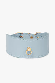 Sky blue Greyhound Nara collar