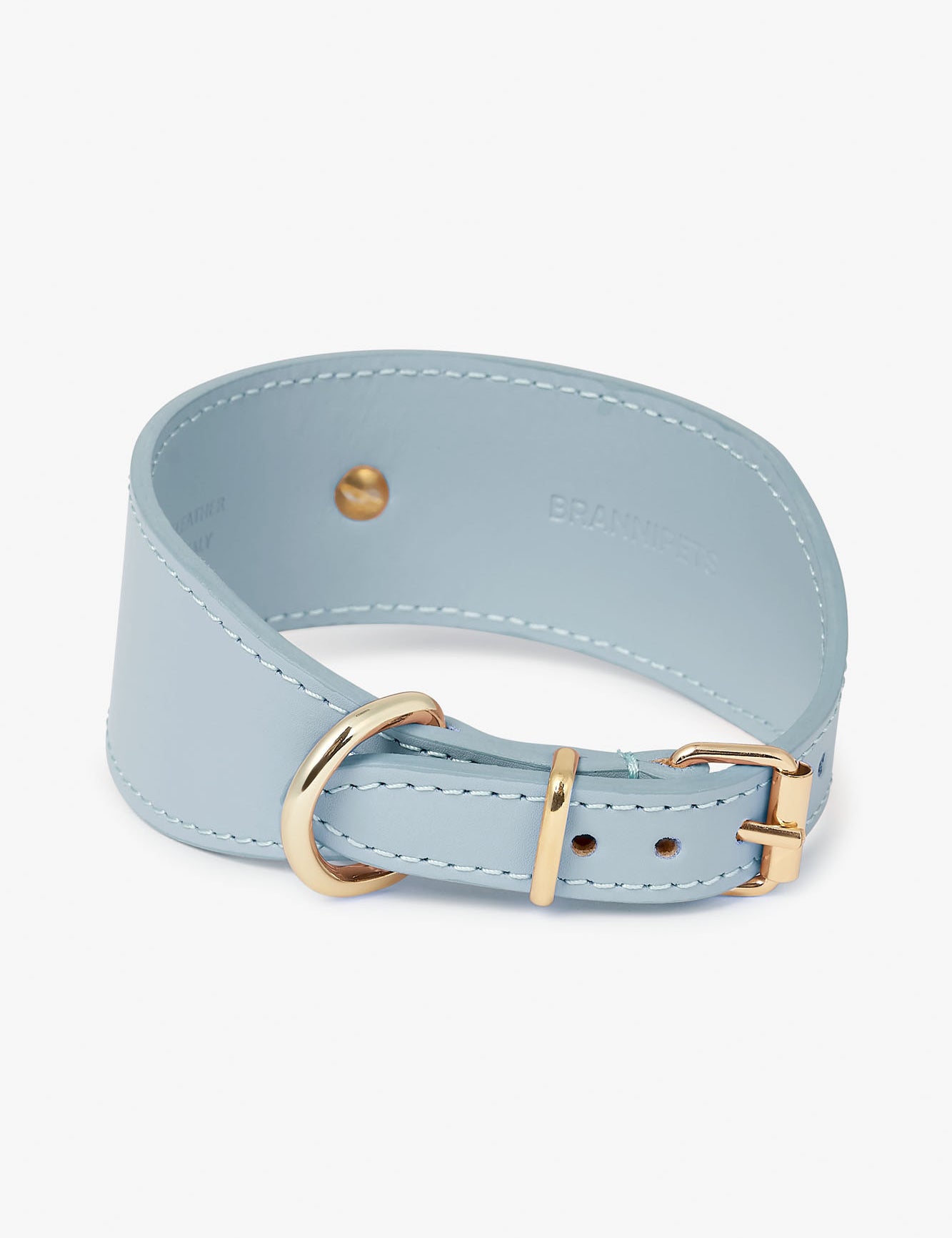 collar-galgo-nara-azul-cielo-trasera.jpg