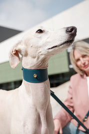 Navy blue Greyhound Nara collar