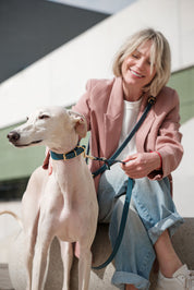 Navy blue Greyhound Nara collar