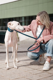 Navy blue Greyhound Nara collar