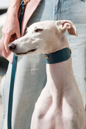 Navy blue Greyhound Nara collar