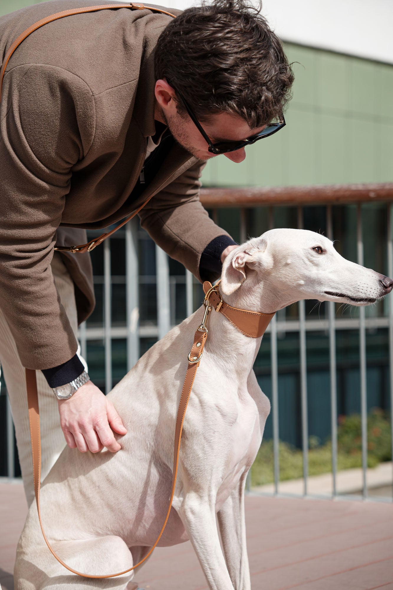 Collar Galgo Nara camel