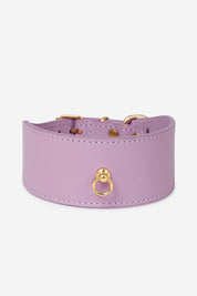 Lilac Greyhound Nara collar