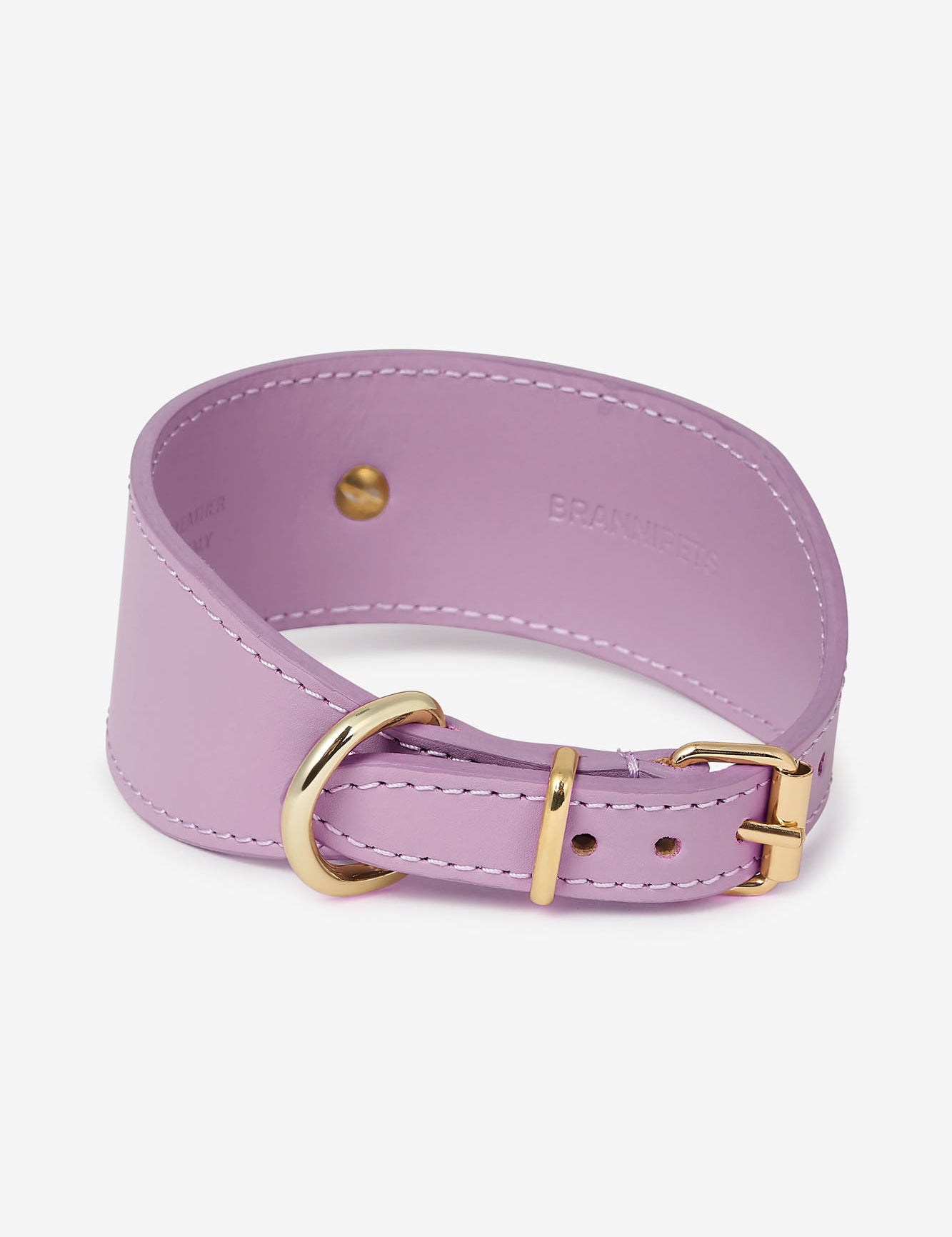 collar-galgo-nara-lila-trasera.jpg