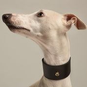 Black Greyhound Nara Collar Set