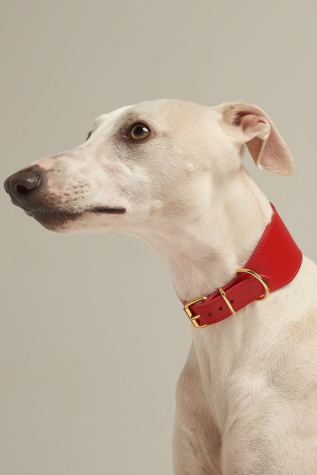 Collar Galgo Nara rojo