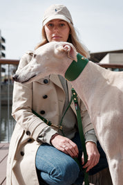 Green Greyhound Nara collar