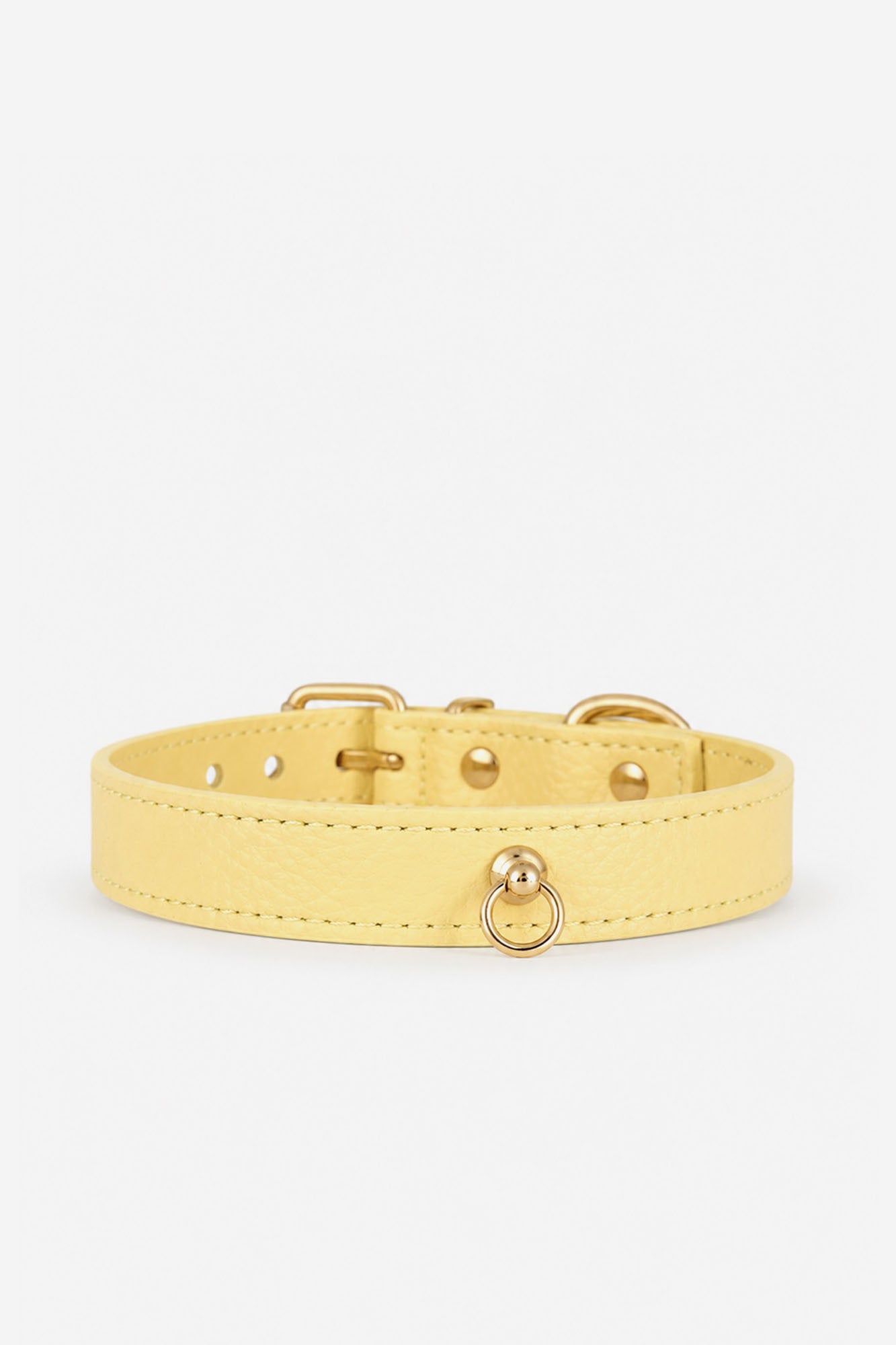 Collier Chien Juno jaune