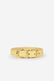 Juno Toy dog collar yellow