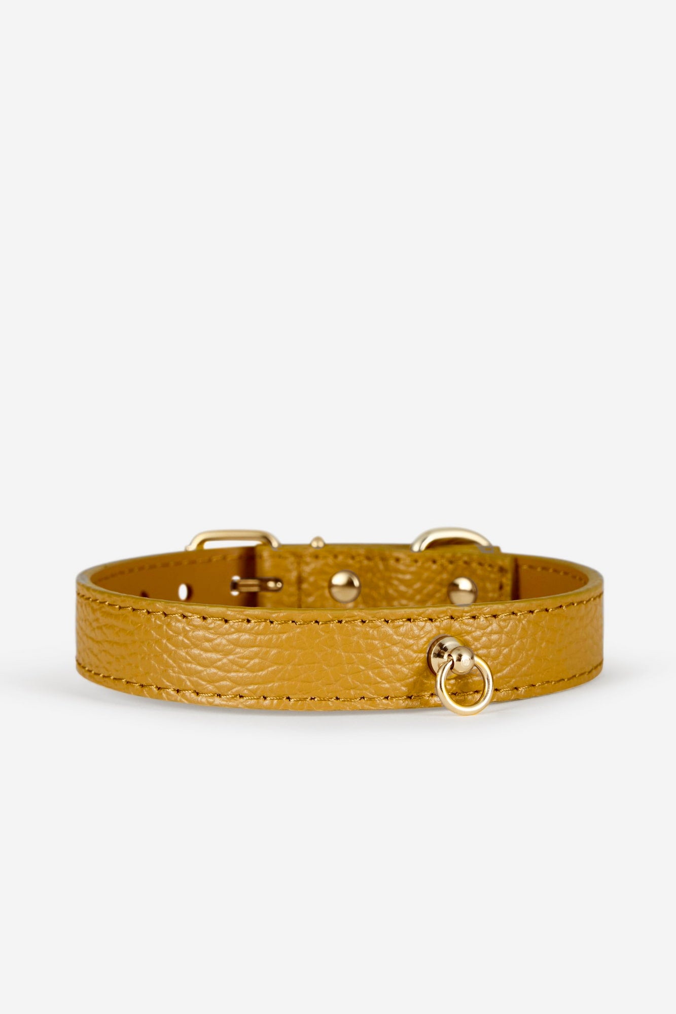 collar-perro-juno-estandar-amarillo-mostaza-frontal.jpg