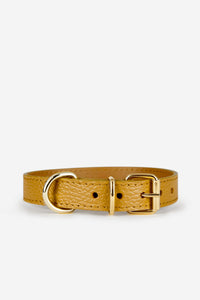 Collare per cani Juno giallo senape - Giallo senape / XS