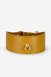 Juno Greyhound collar mustard yellow