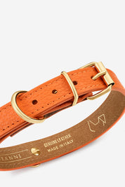 Collar perro Juno naranja