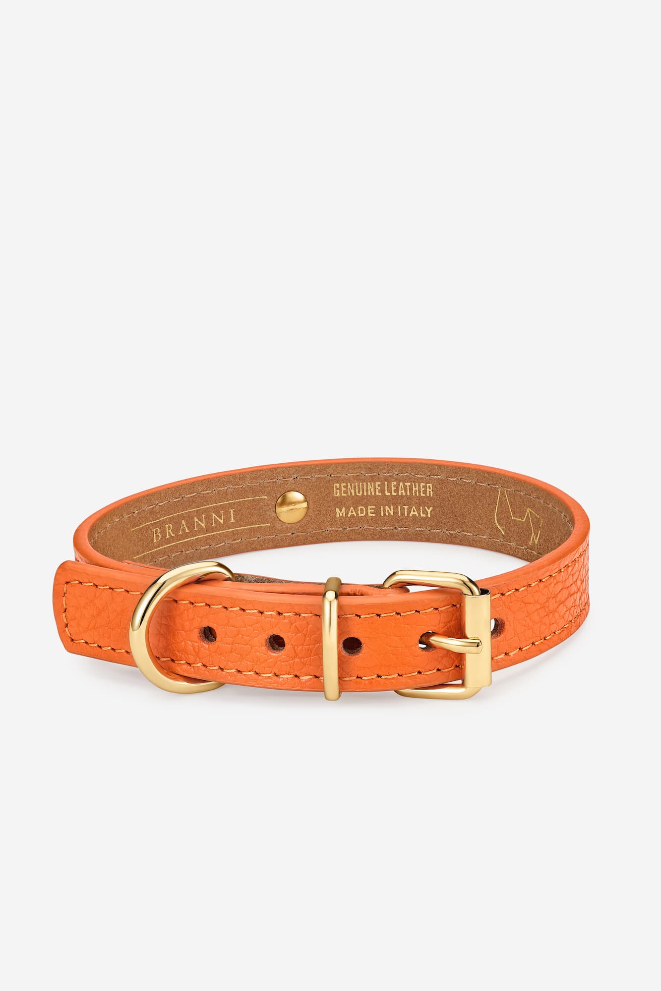 Collar perro Juno naranja