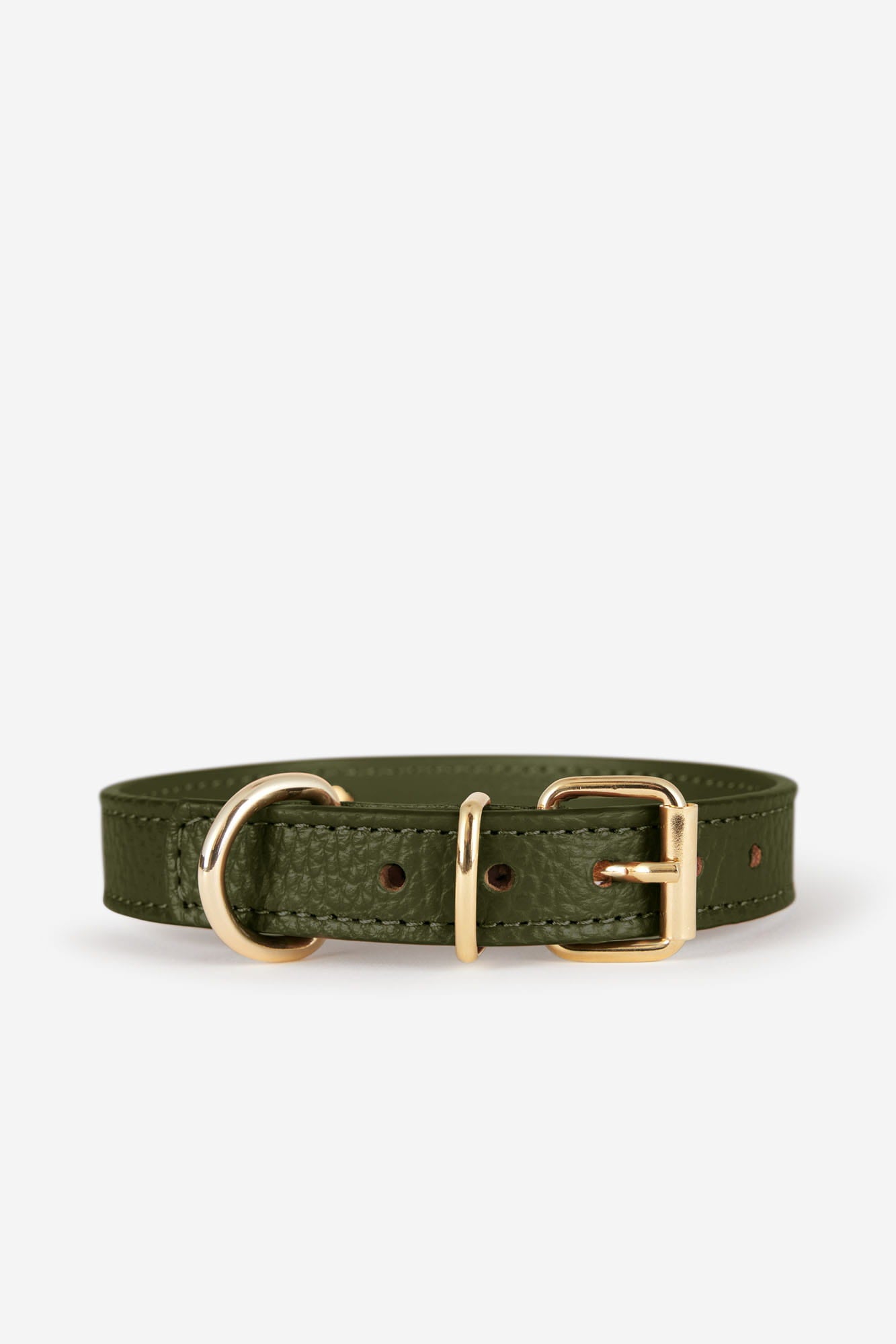 collar verde oscuro para perro pequeño