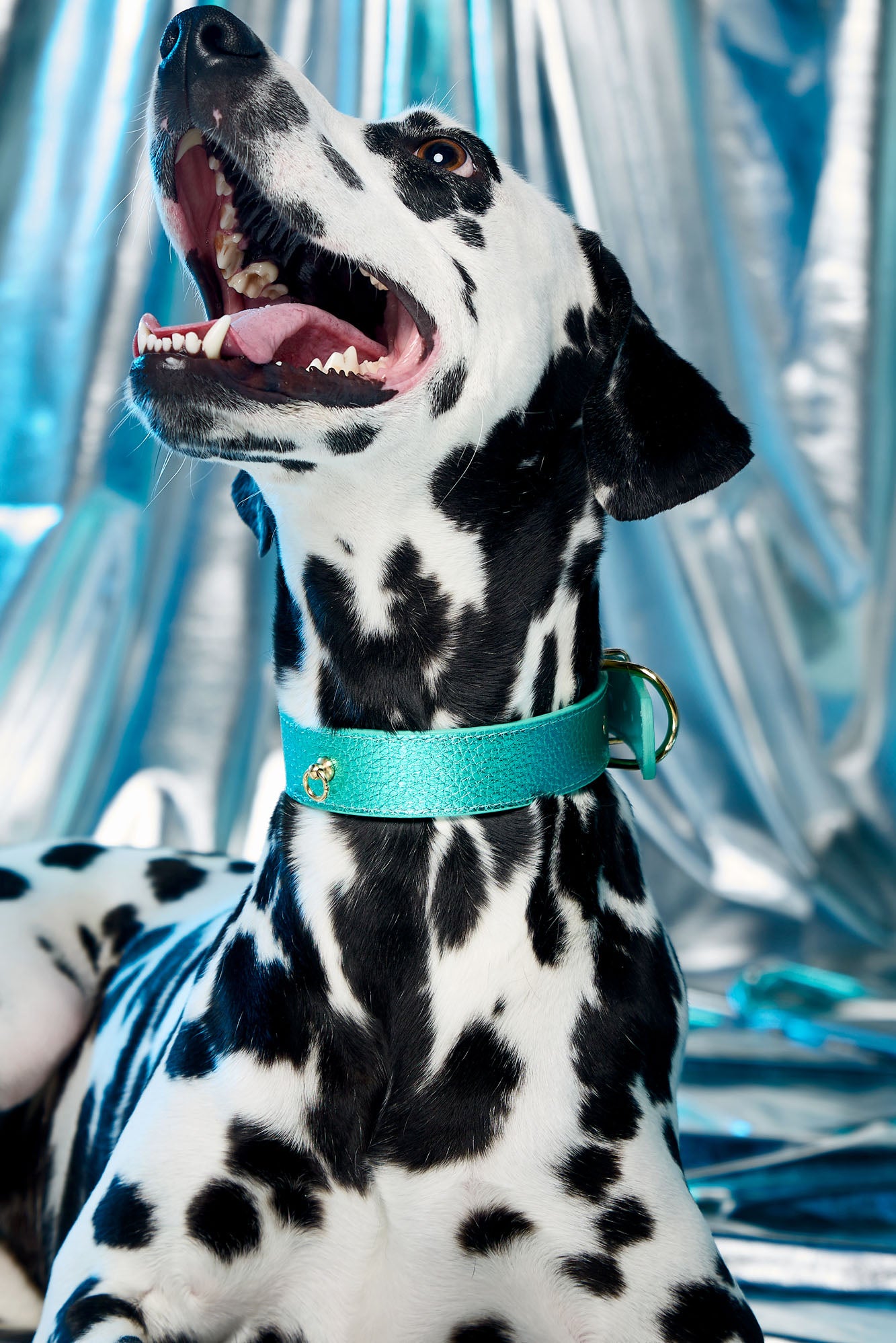 Turquoise Metal collar