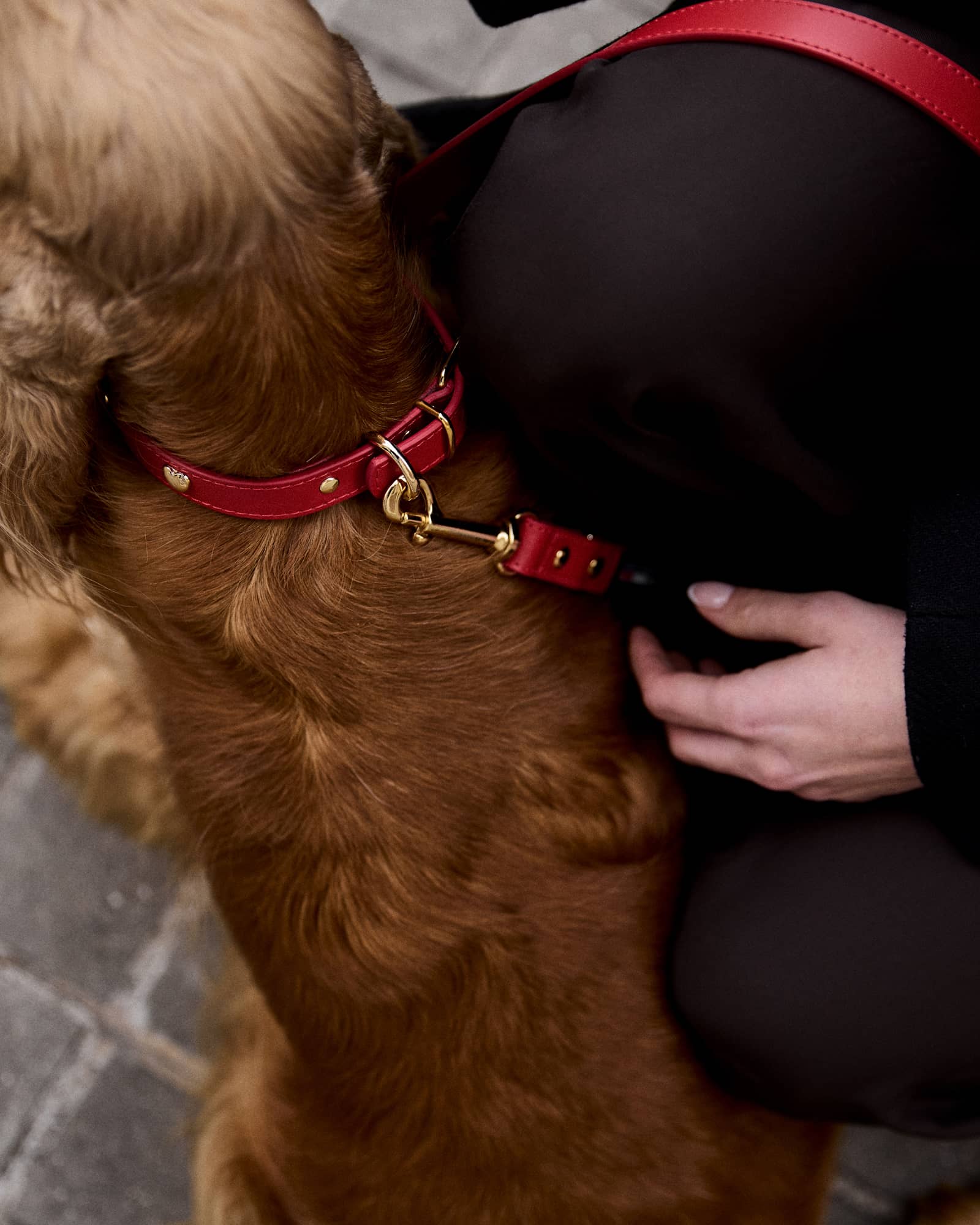 Red Leather Nara Dog Collar