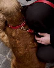 Red Leather Nara Dog Collar