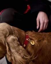 Kit collar perro Nara rojo