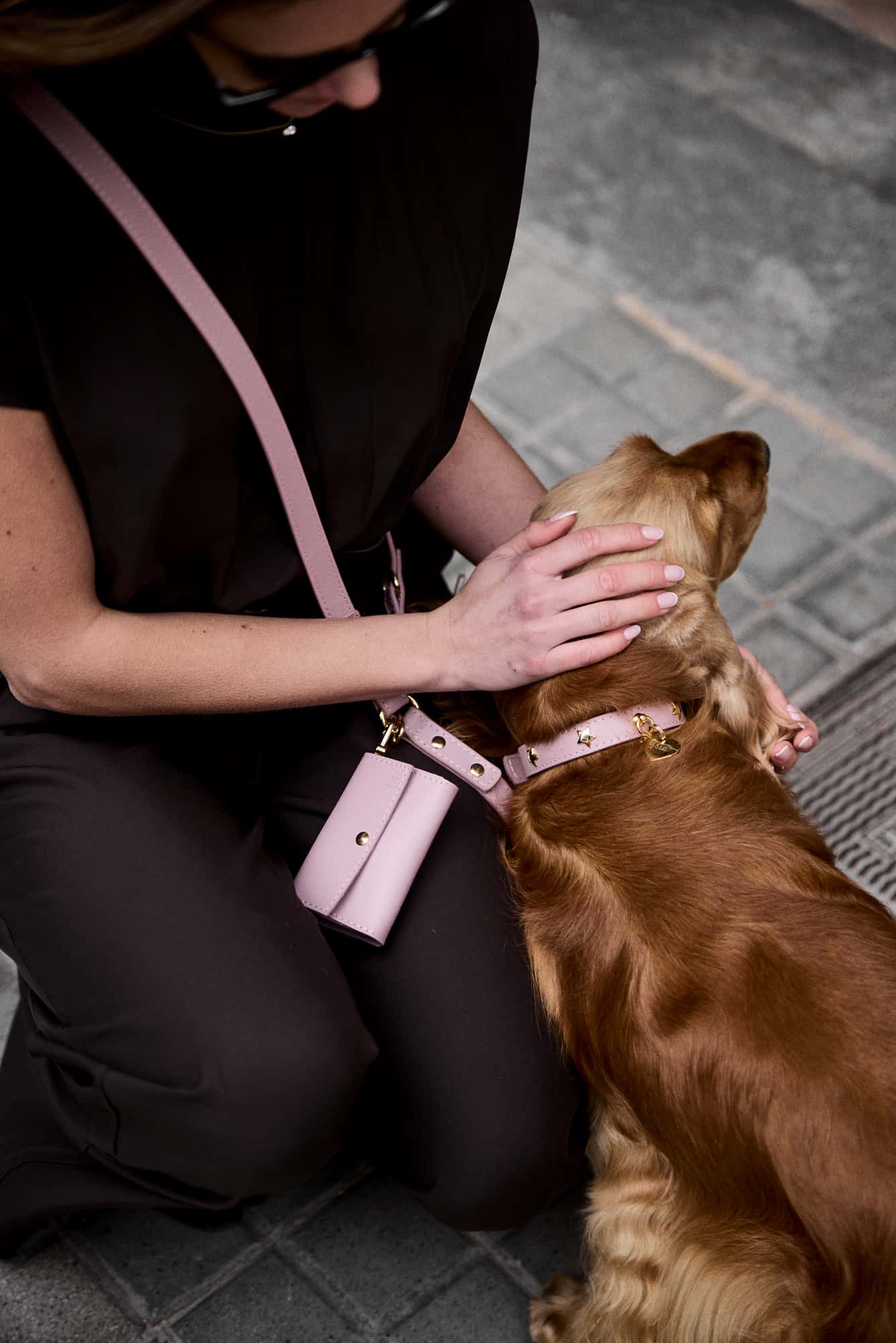 Kotbeutelspender Nara in Rosa