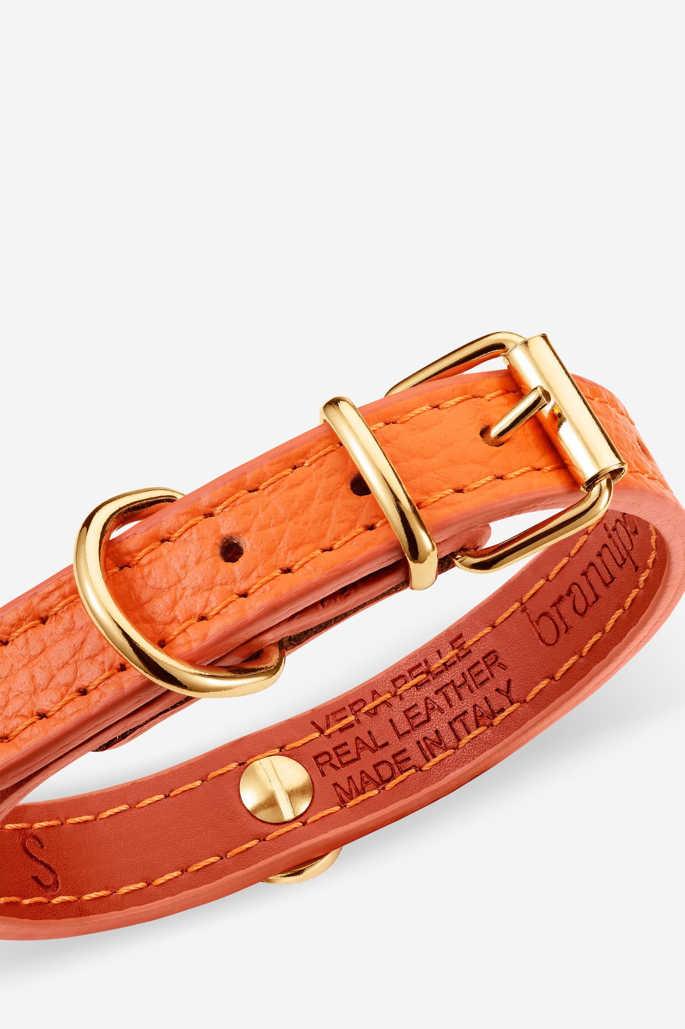 collar naranja para perros pequeños