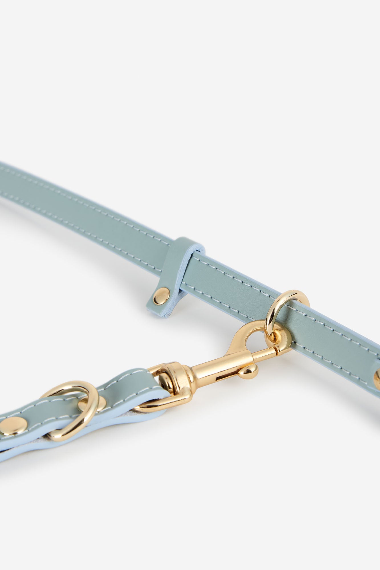 Anilla correa multiposición azul cielo para perros pequeños