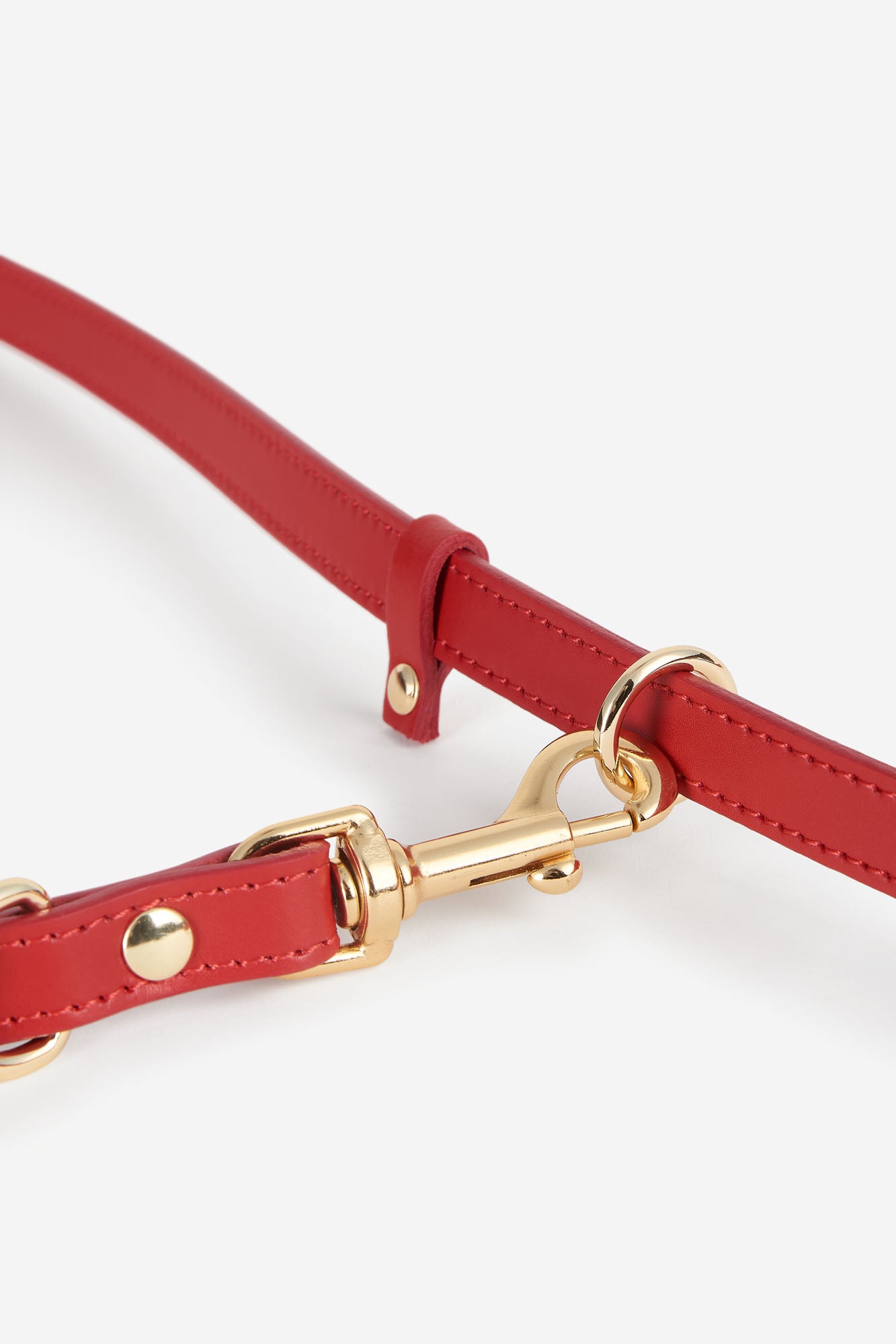 Anilla correa multiposición roja para perros pequeños