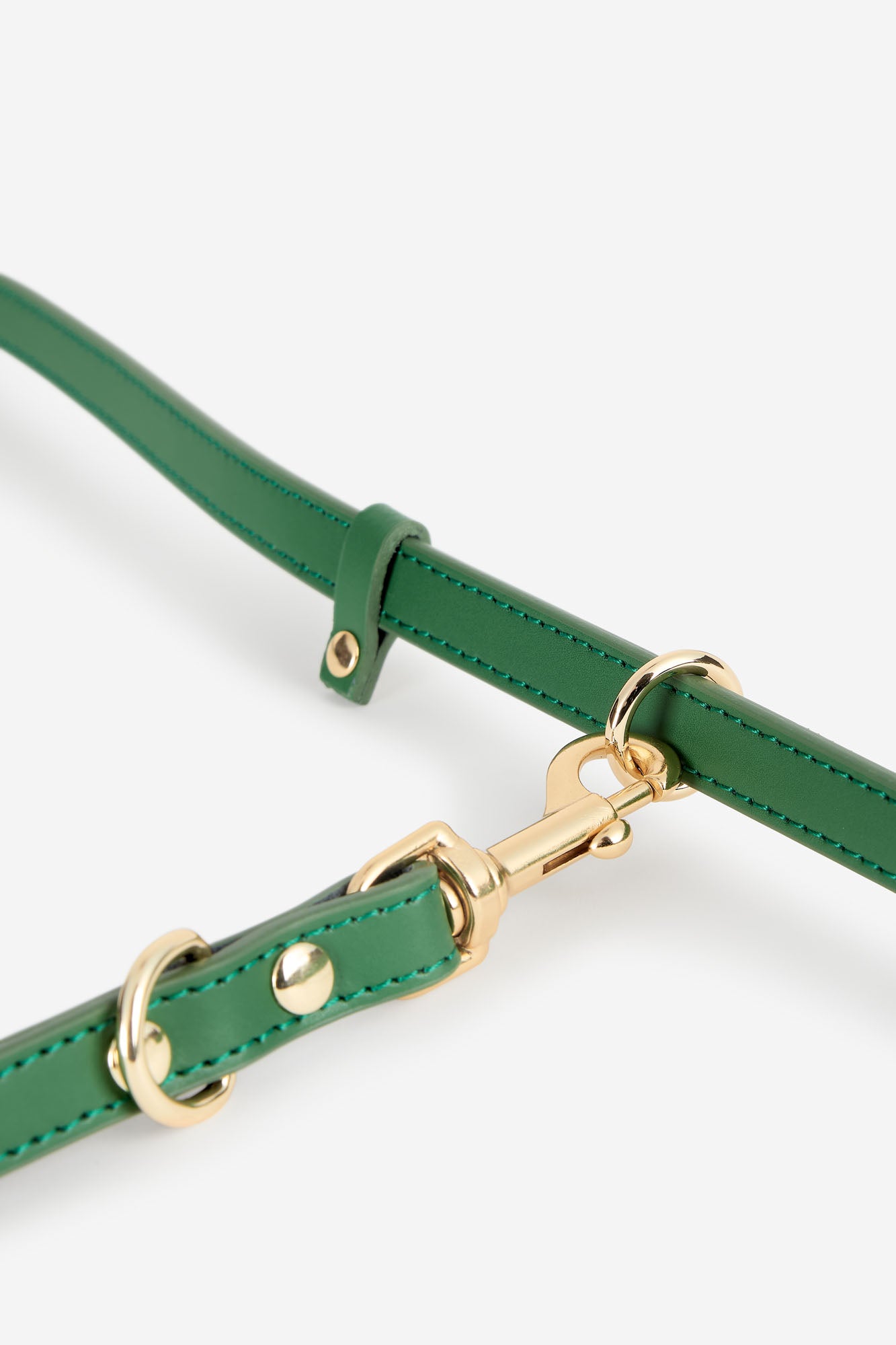 detalle anilla correa multiposición perros pequeños color verde