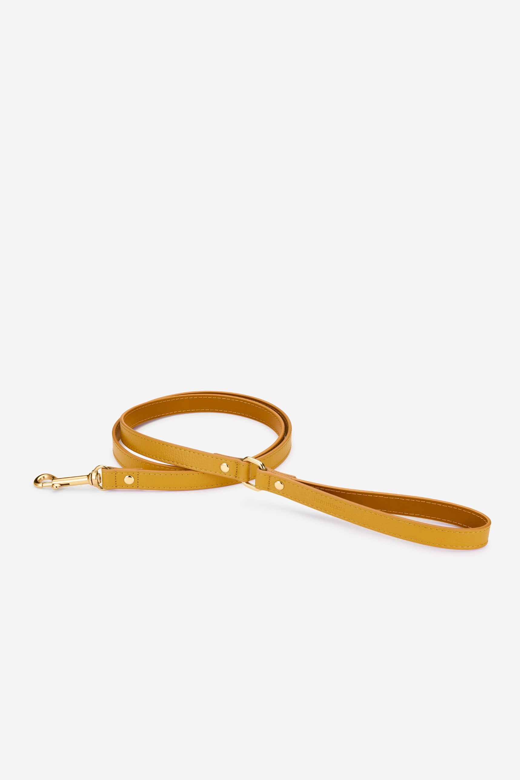 correa-perro-clasica-estandar-juno-amarillo-mostaza-frontal.jpg