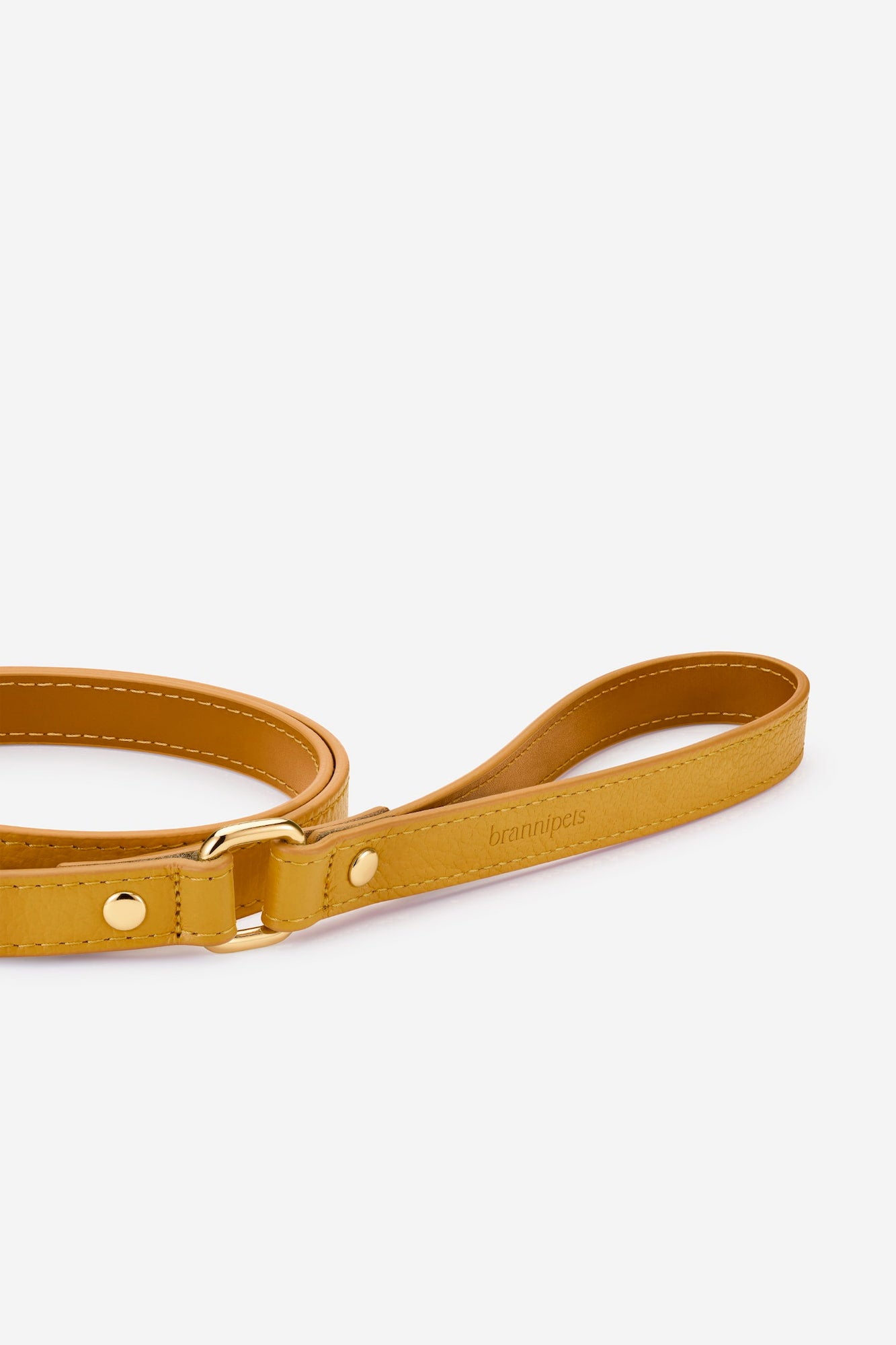 correa-perro-clasica-estandar-juno-amarillo-mostaza-mango.jpg