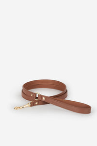 Laisse Chien Juno marron - Marron / Classique / Standard