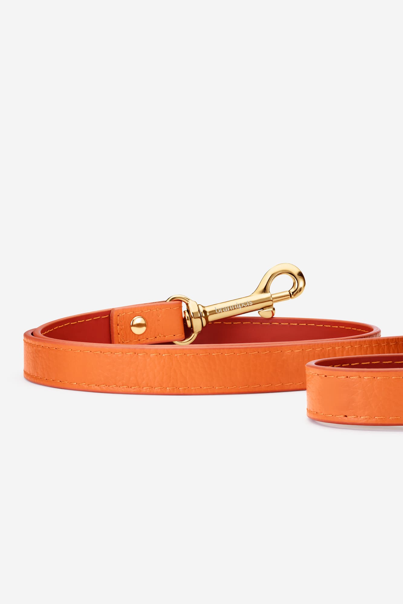 Correa perro Juno naranja