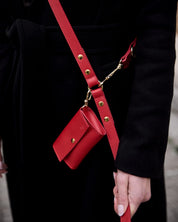 Red Leather Nara Dog Harness Set