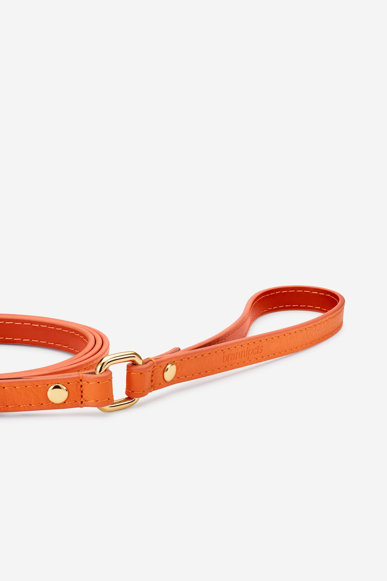 collares de perro toy naranja