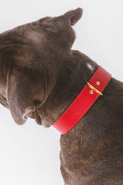 Collar Moni rojo