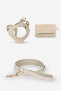 White Leather Juno Dog Harness Set - XS / Standard / Classic lead