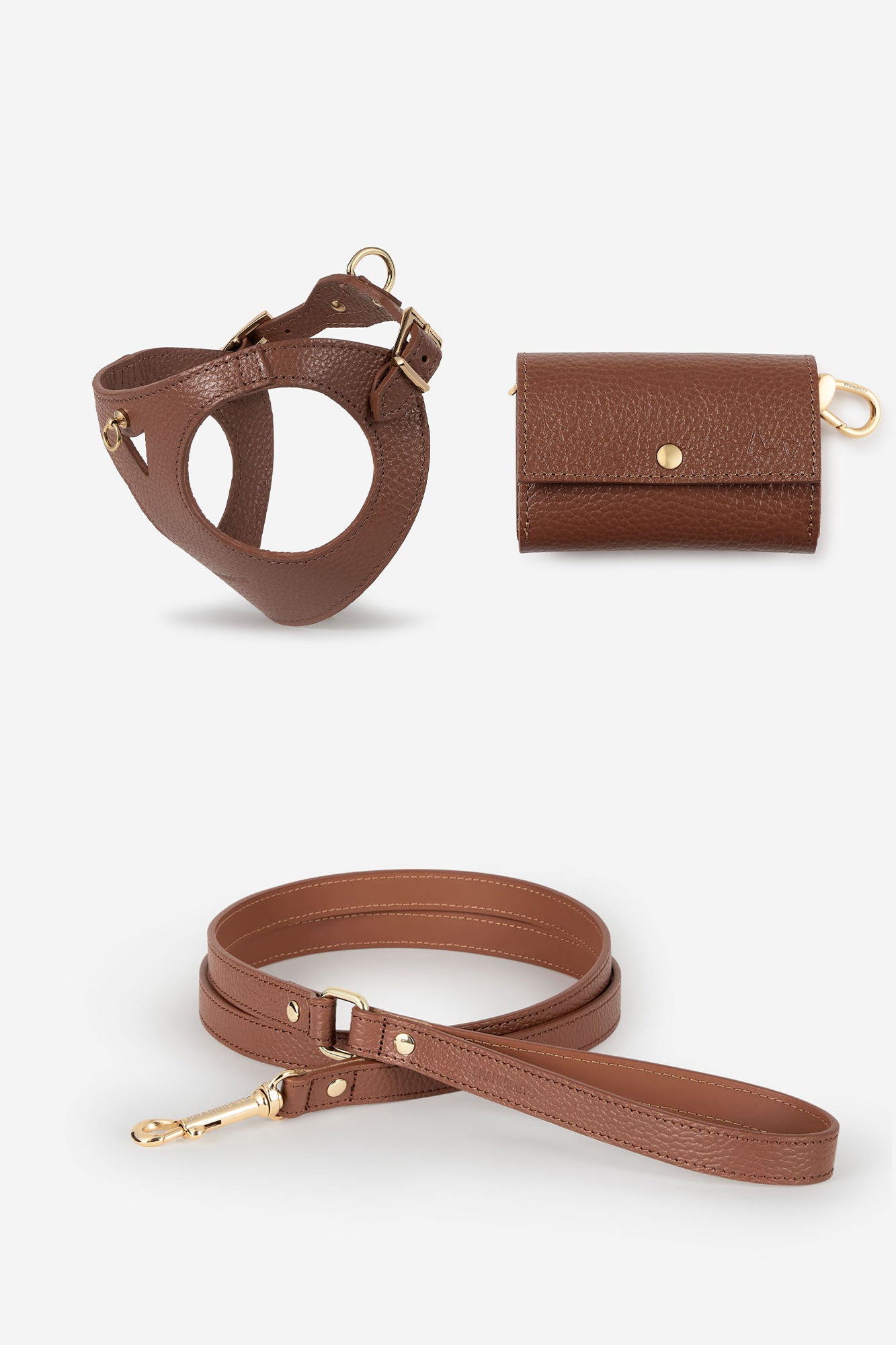 arnés marrón perro aventura