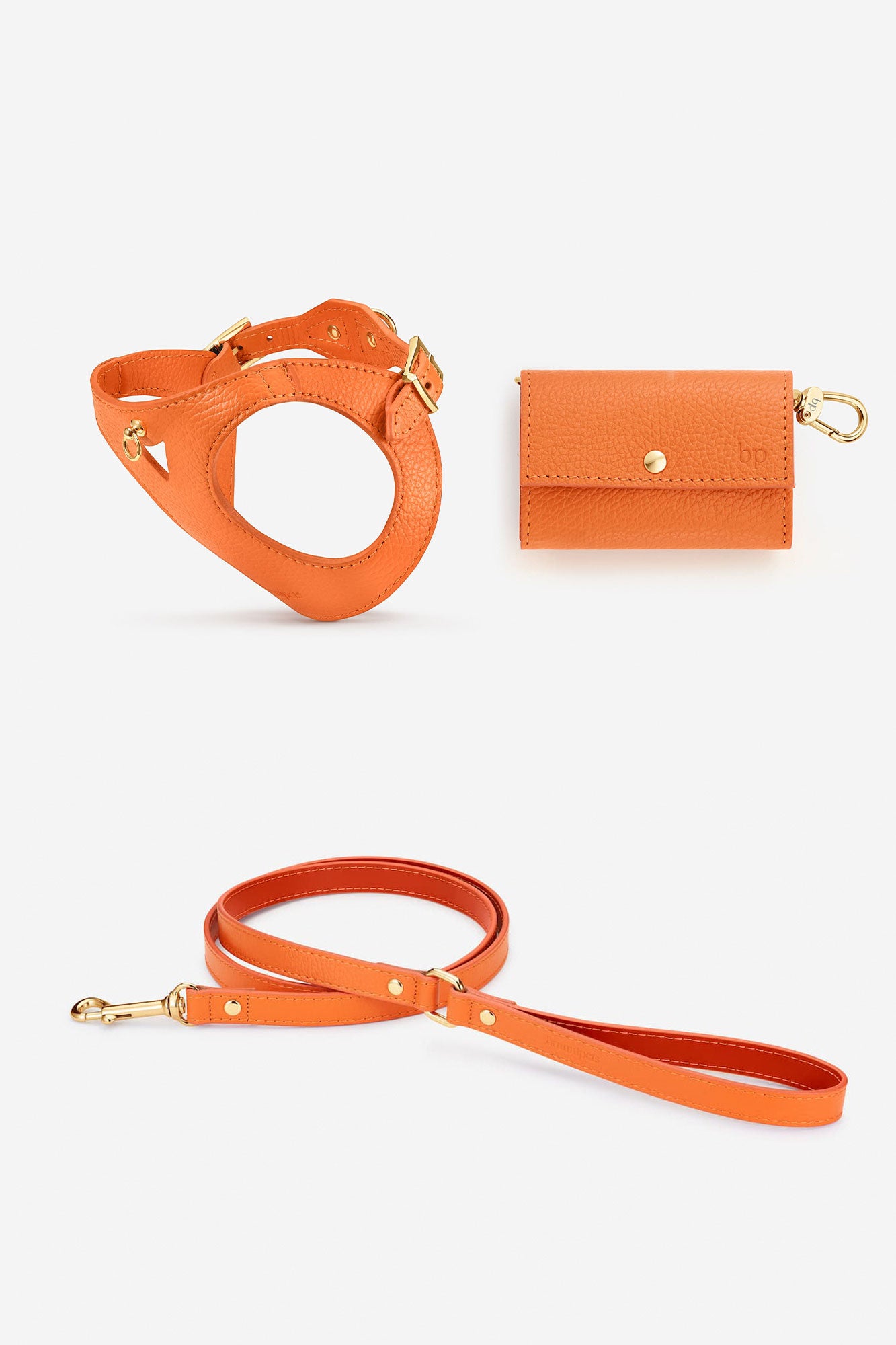 kit arnés naranja perro