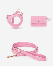 Kit harnais Chien Juno rose