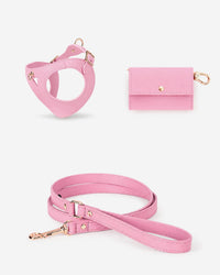 Juno dog harness set pink - XS / Hands-free lead / Standard