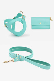 Juno harness set in turquoise leather.