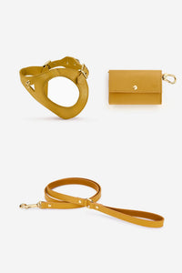 Kit arnés perro Juno amarillo mostaza - XS / Clásica / Estándar