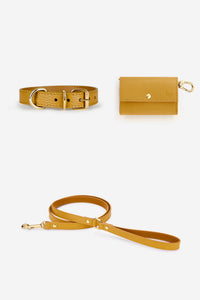 Kit collar perro Juno amarillo mostaza - XS / Clásica / Estándar
