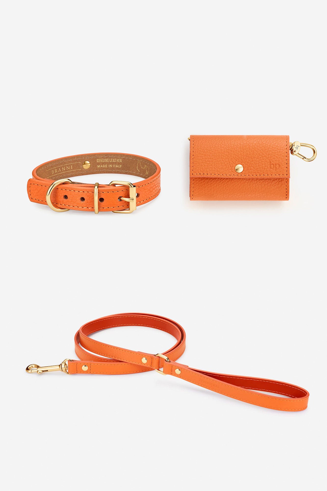 Kit collar perro Juno naranja