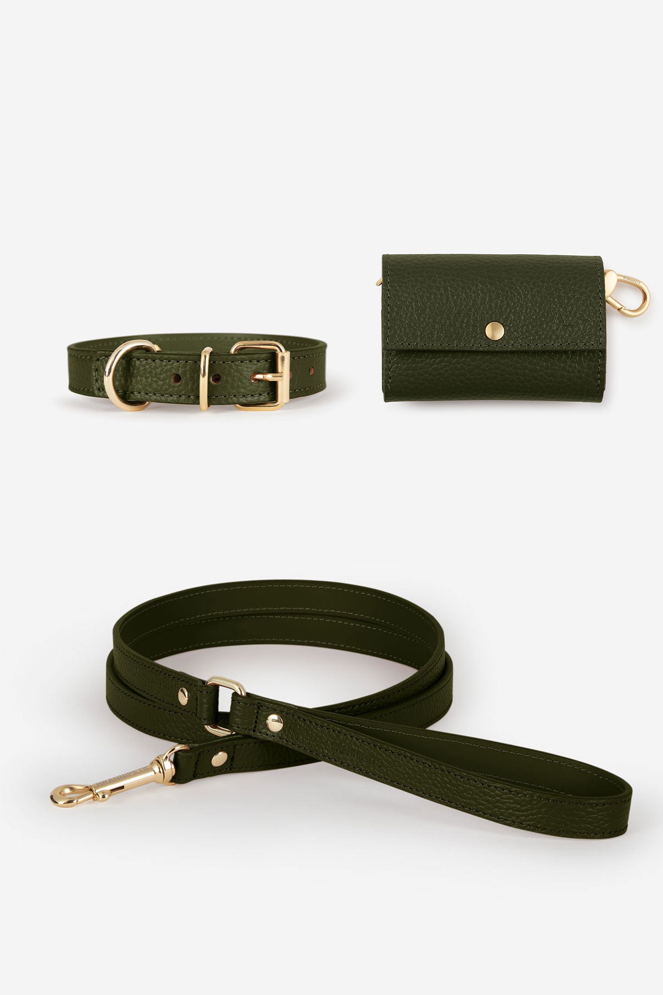 collares perro verde oscuro